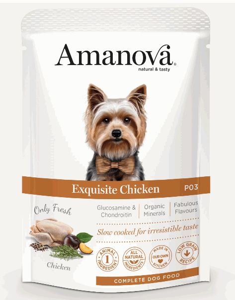 Best Pet Groomer
